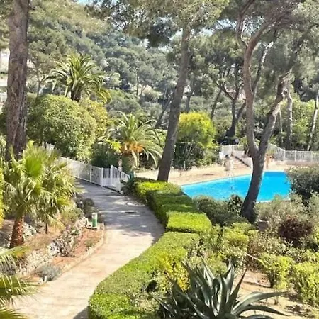 Beautiful In Mont Des Oiseaux *